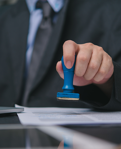 LLC formation process